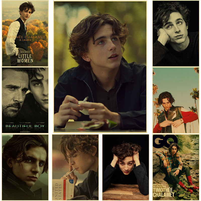 Timothee Chalamet Retro Leinwa – Home Bar And Theater Bewertung und Preis